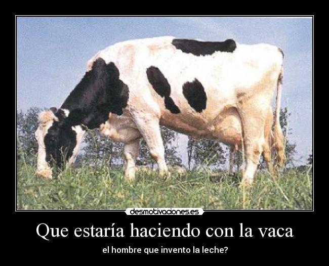 Que estaría haciendo con la vaca - 