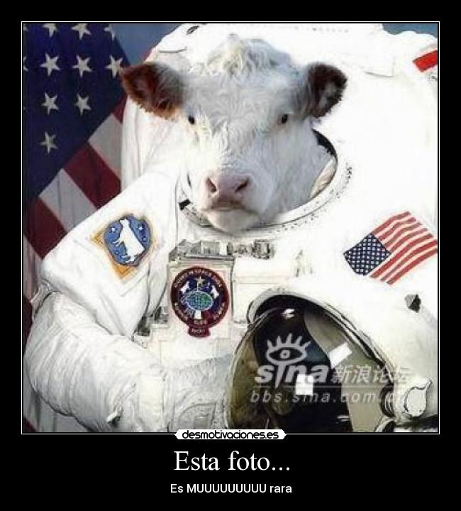 Esta foto... -