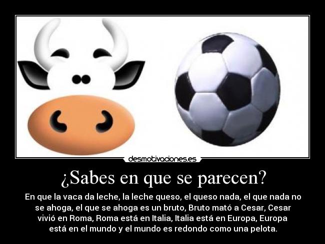 ¿Sabes en que se parecen? - 