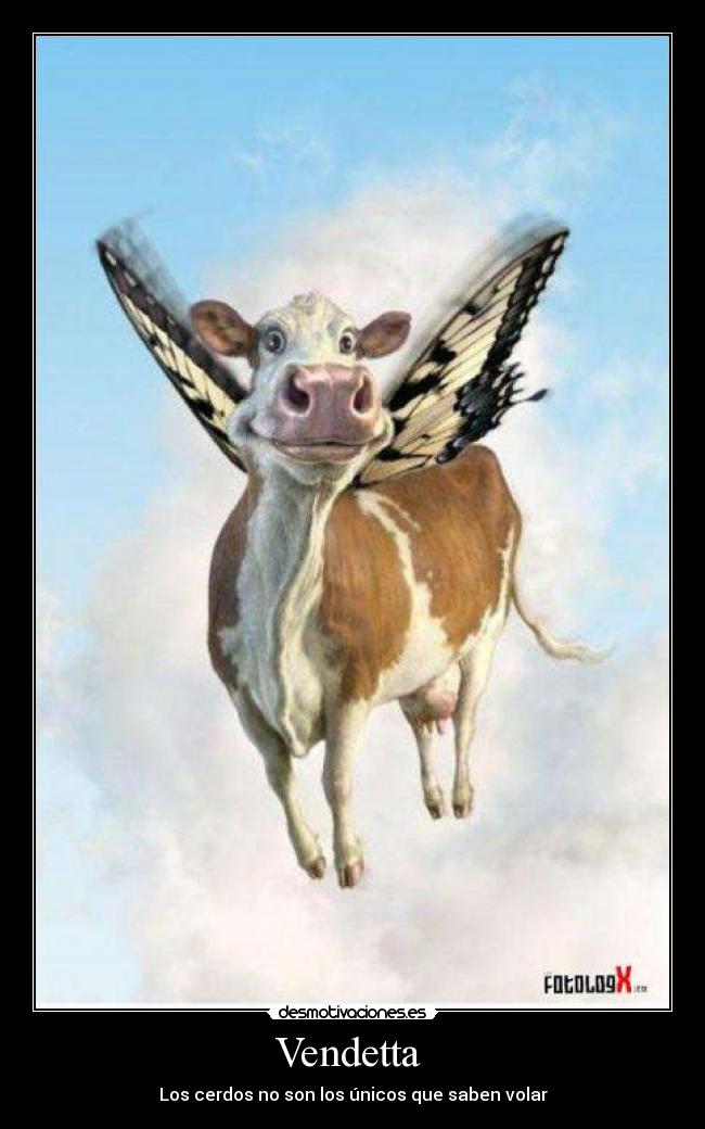 Vendetta - Los cerdos no son los únicos que saben volar