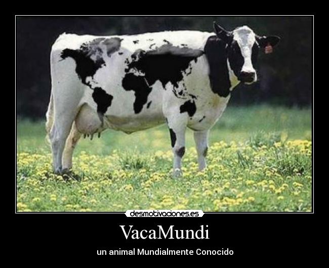 VacaMundi - un animal Mundialmente Conocido