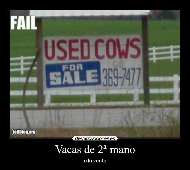 Vacas de 2ª mano - a la venta