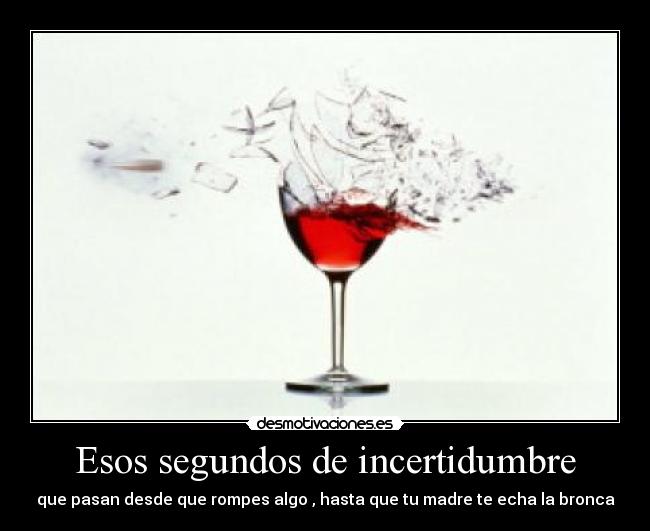 Esos segundos de incertidumbre - que pasan desde que rompes algo , hasta que tu madre te echa la bronca