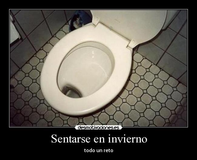 Sentarse en invierno - 