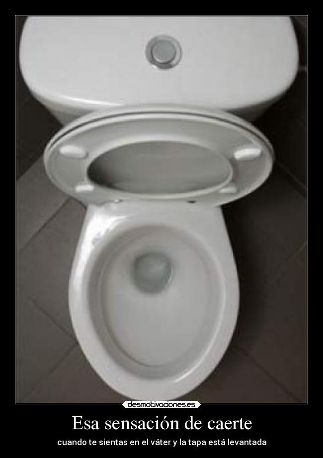 carteles esa sensacion caerte desmotivaciones