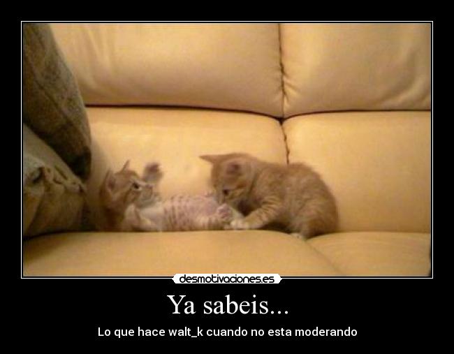 Ya sabeis... - Lo que hace walt_k cuando no esta moderando
