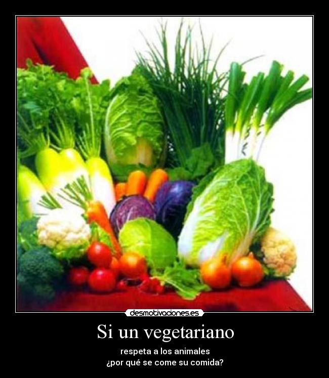 Si un vegetariano - respeta a los animales
¿por qué se come su comida?