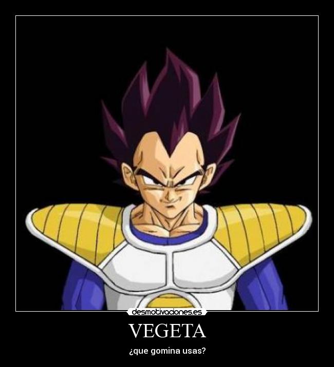 VEGETA - 