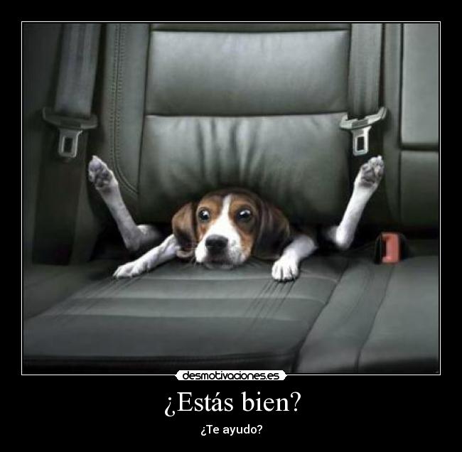 ¿Estás bien? -