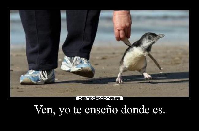 Ven, yo te enseño donde es. - 