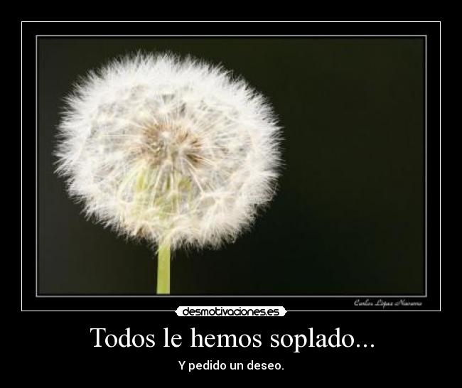 Todos le hemos soplado... - Y pedido un deseo.