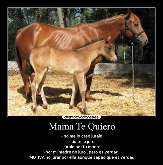 Mama Te Quiero -