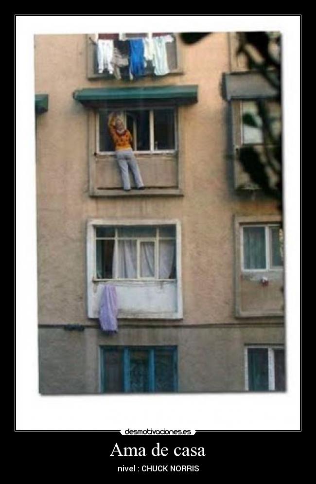 Ama de casa -