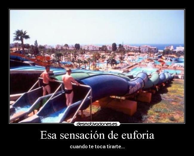 Esa sensación de euforia -