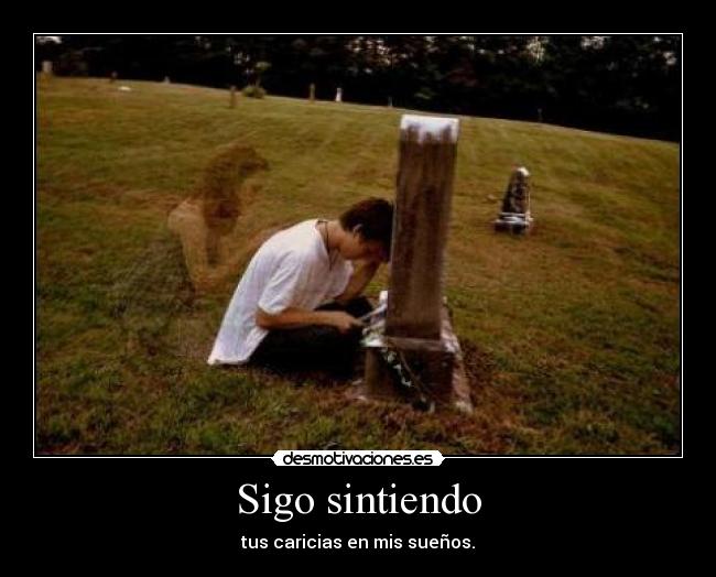 Sigo sintiendo - 