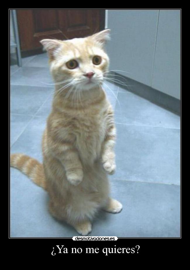 ¿Ya no me quieres? -