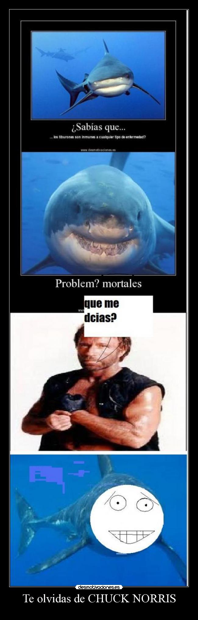 Te olvidas de CHUCK NORRIS -