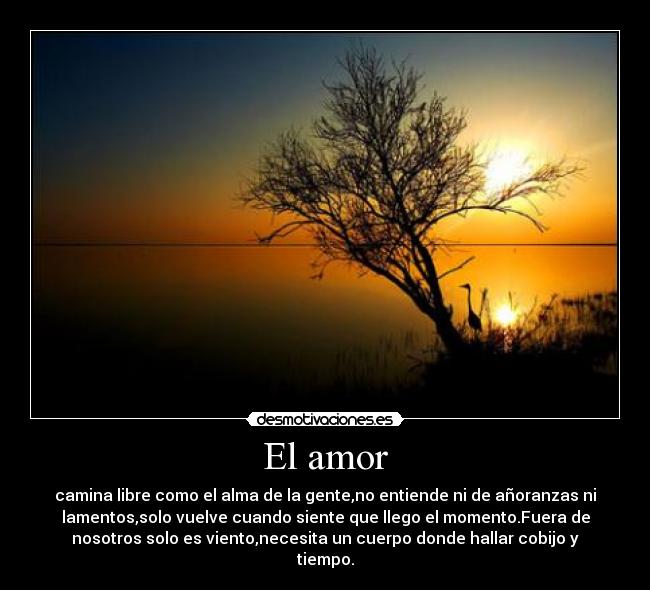 El amor - camina libre como el alma de la gente,no entiende ni de añoranzas ni
lamentos,solo vuelve cuando siente que llego el momento.Fuera de
nosotros solo es viento,necesita un cuerpo donde hallar cobijo y
tiempo.
