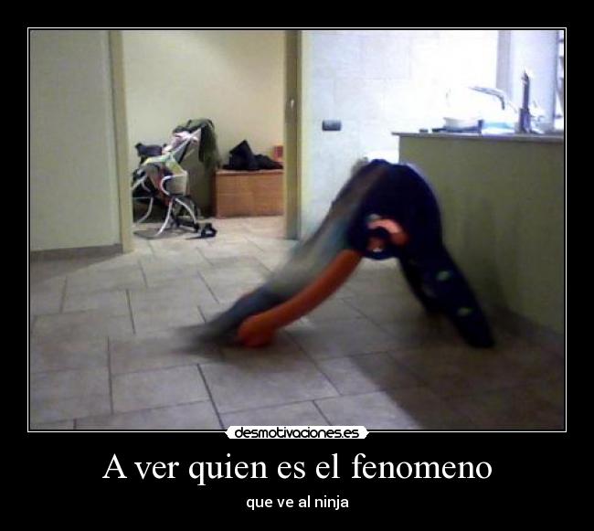 carteles ver quin fenomeno que ninja arobus desmotivaciones