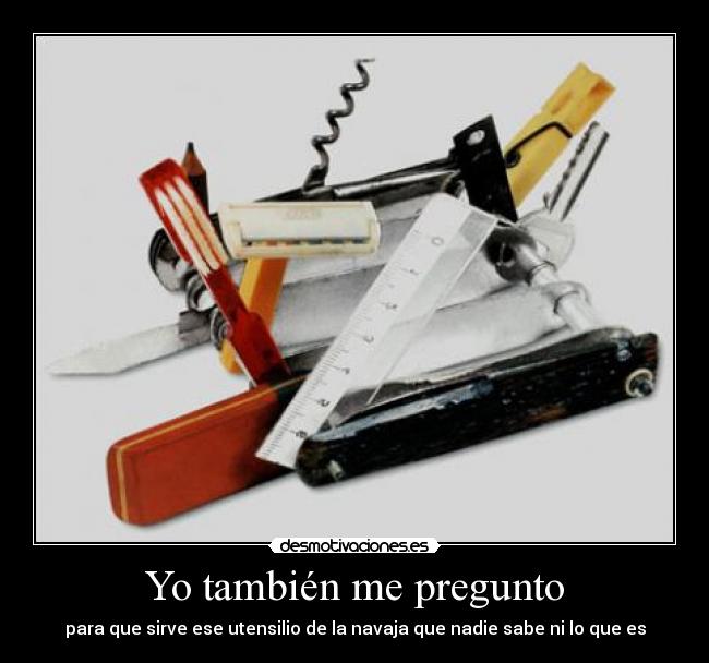 Yo también me pregunto -