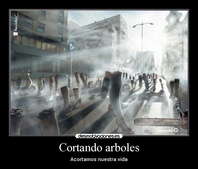Cortando arboles - 
