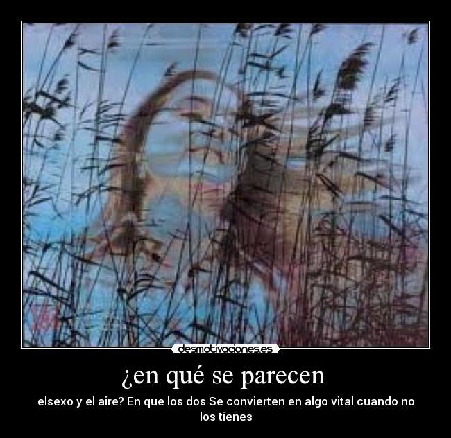 carteles parecidos desmotivaciones