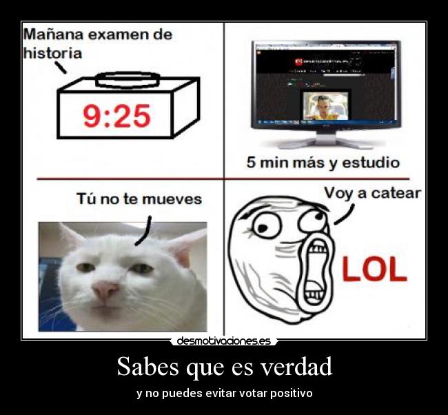 Sabes que es verdad - y no puedes evitar votar positivo