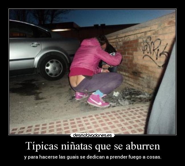 Típicas niñatas que se aburren - y para hacerse las guais se dedican a prender fuego a cosas.