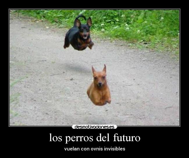 los perros del futuro - 