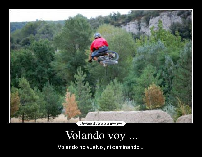 Volando voy ... - Volando no vuelvo , ni caminando ...