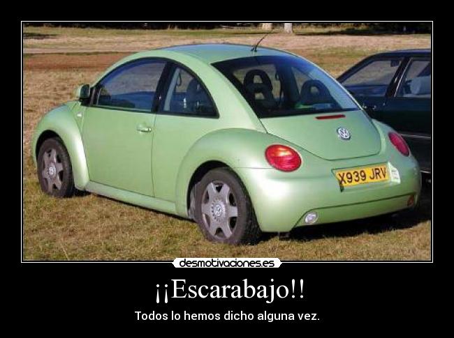 ¡¡Escarabajo!! - 