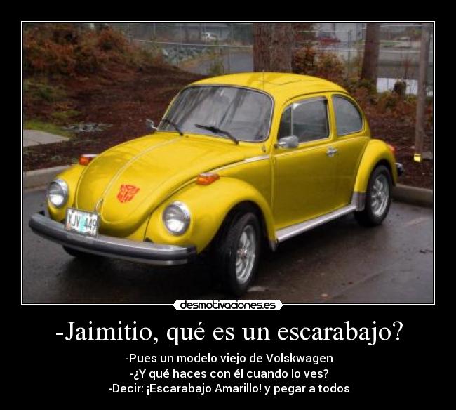 -Jaimitio, qué es un escarabajo? -
