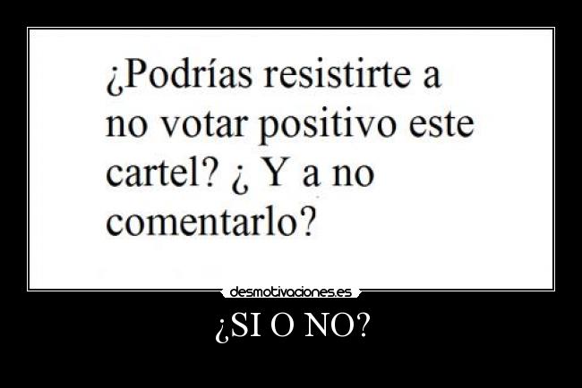 ¿SI O NO? -