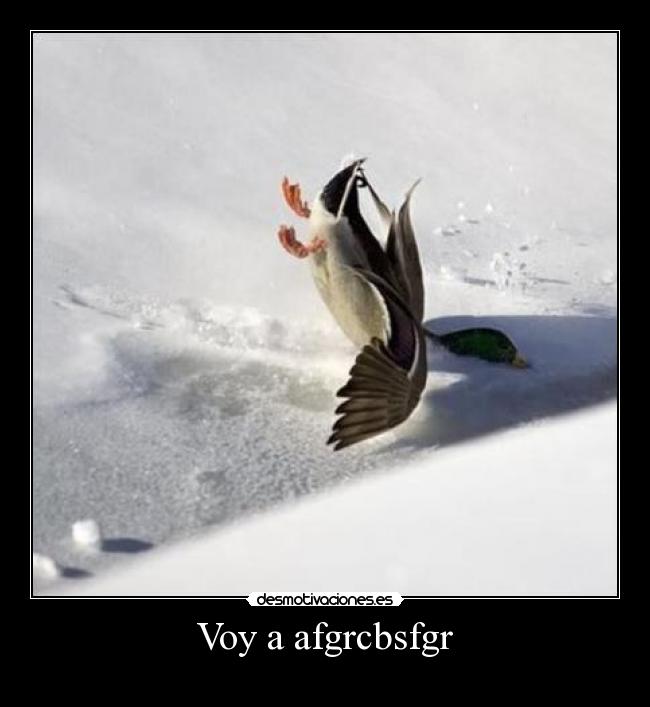 Voy a afgrcbsfgr -