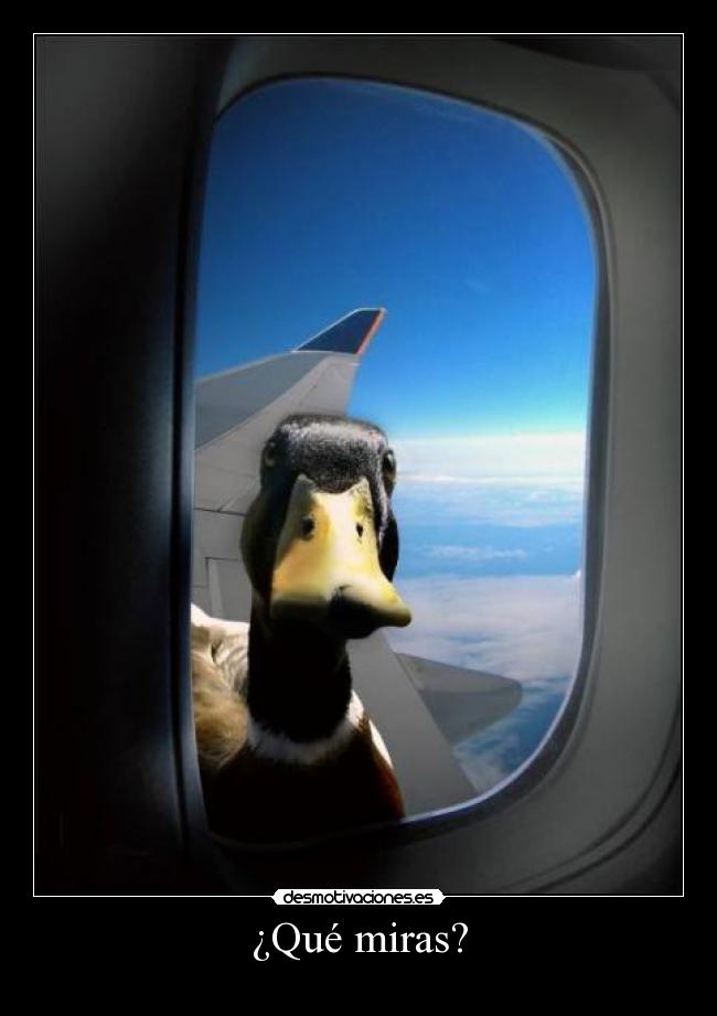 carteles desmotivaciones