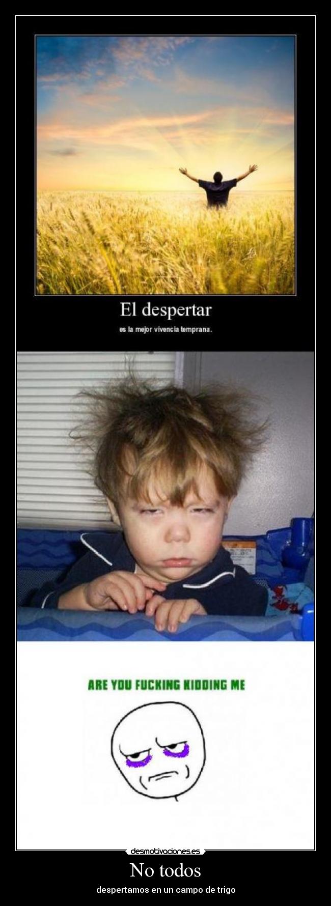 No todos - despertamos en un campo de trigo