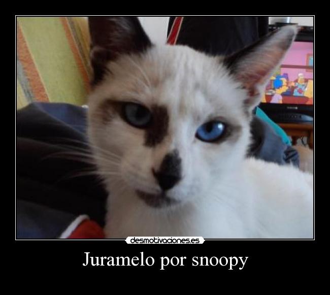 Juramelo por snoopy -