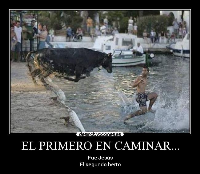 carteles ddd desmotivaciones