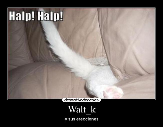 Walt_k - 