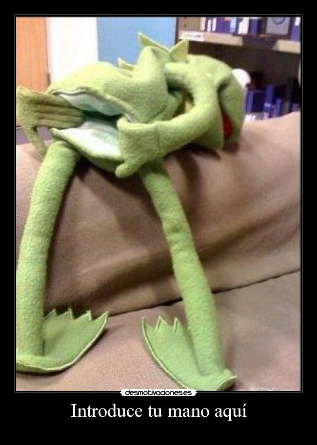 Introduce tu mano aquí - 