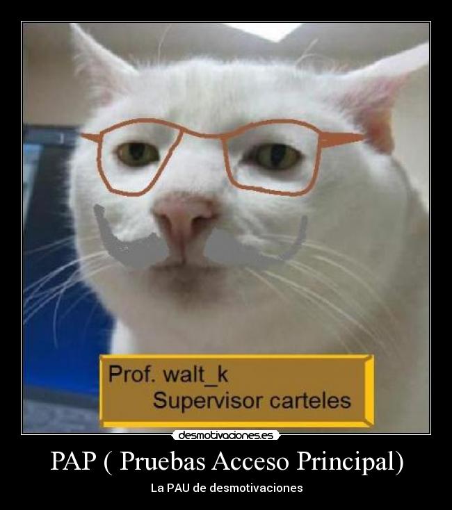 PAP ( Pruebas Acceso Principal) -
