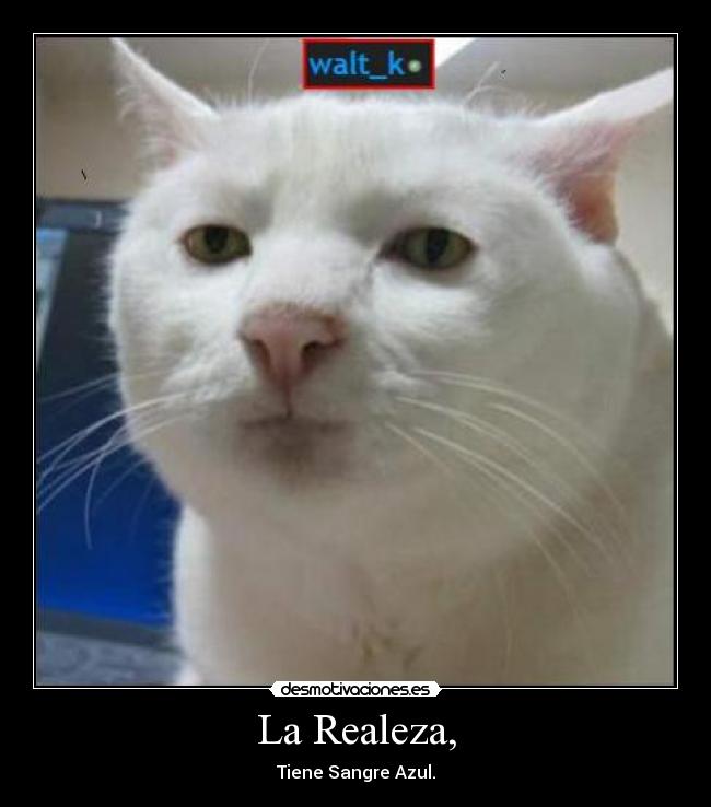 La Realeza, - Tiene Sangre Azul.