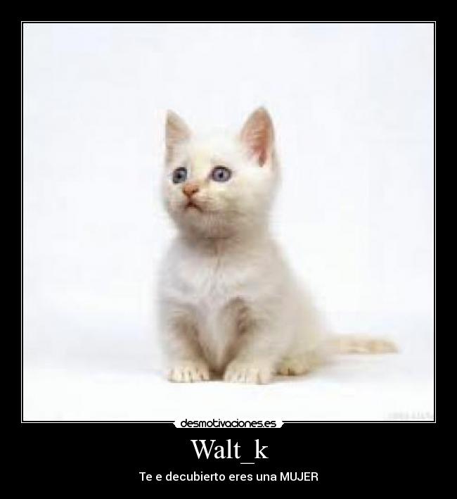 Walt_k - Te e decubierto eres una MUJER