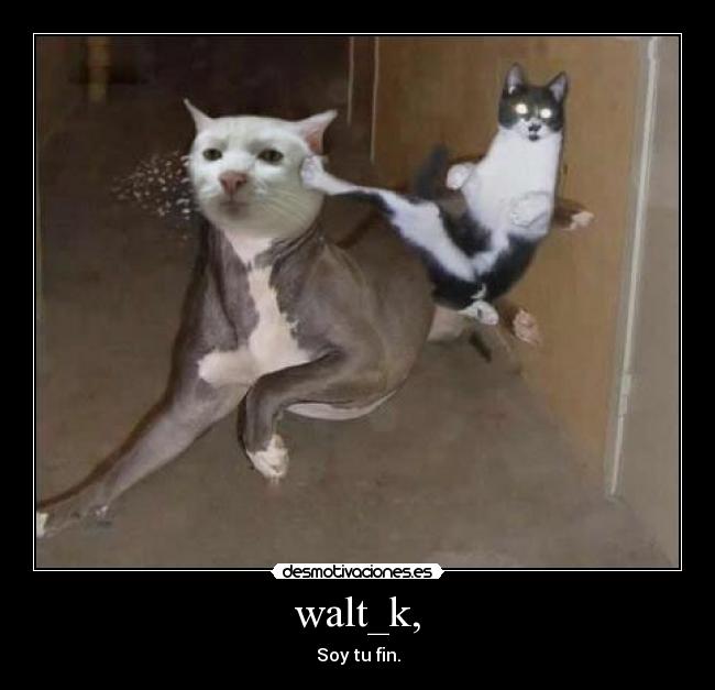 walt_k, - Soy tu fin.
