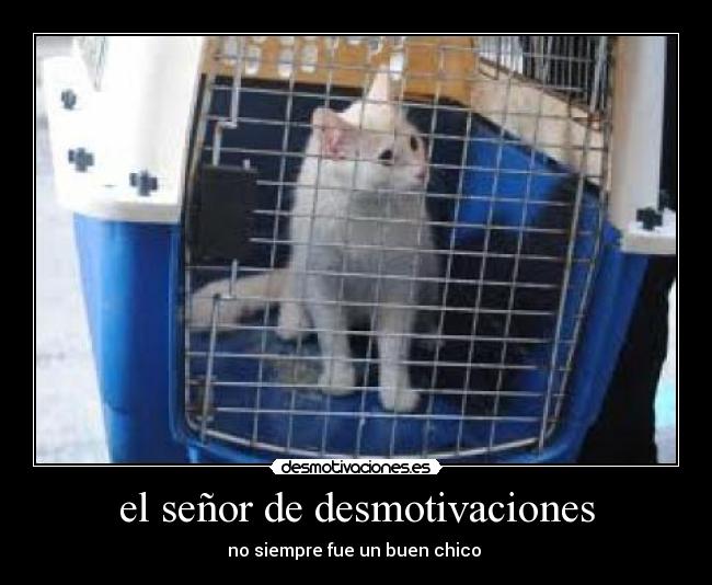 el señor de desmotivaciones - no siempre fue un buen chico