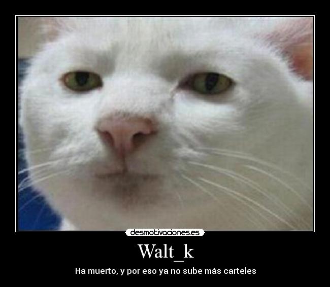 Walt_k -