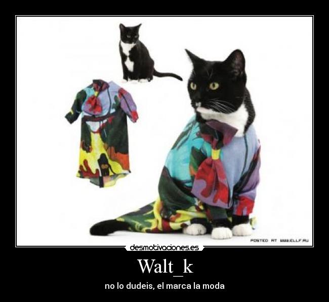 Walt_k -