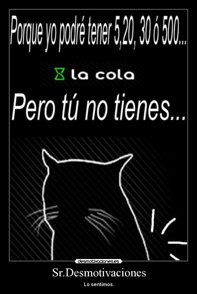 Sr.Desmotivaciones - Lo sentimos.