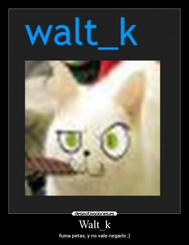 Walt_k -