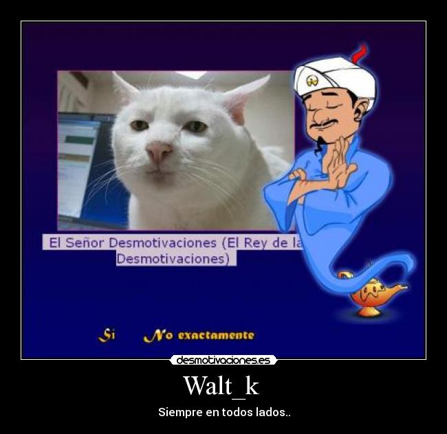 Walt_k -